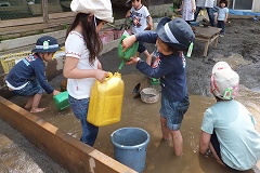 写真7 写真7