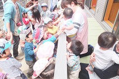 写真2