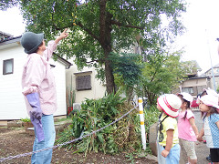 Resize0407 Resize0407